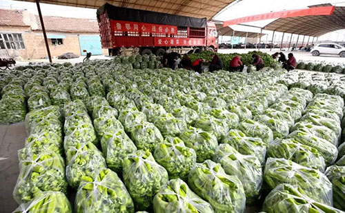 我是湖南長沙蔬菜批發(fā)市場，買多少錢的農(nóng)藥殘留檢測儀合適？