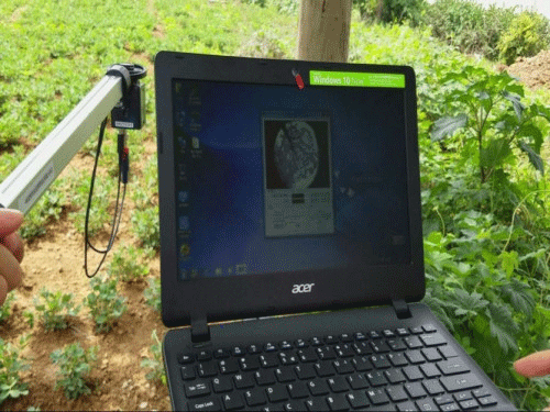 植物冠層圖像分析儀可以測(cè)量什么？