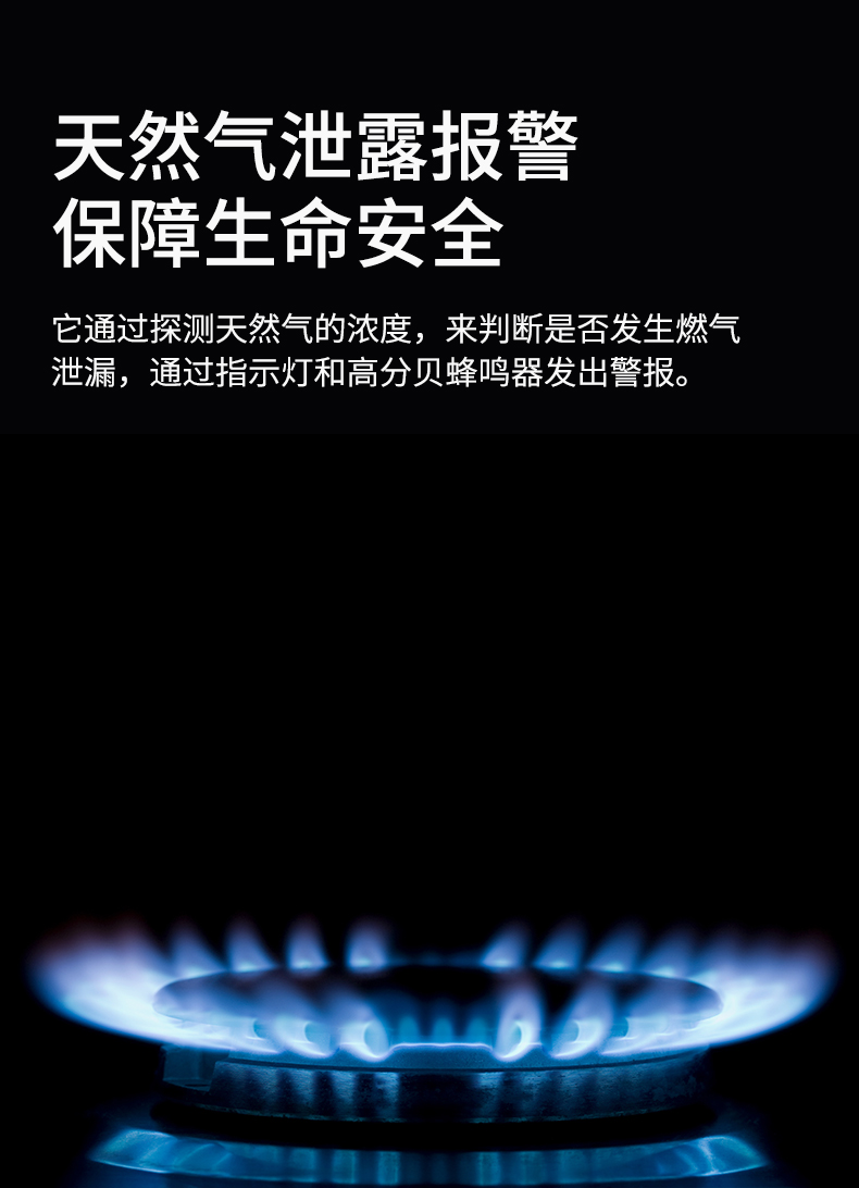 燃?xì)庑孤﹫缶髟斍轫撛O(shè)計--WF版本_02.jpg
