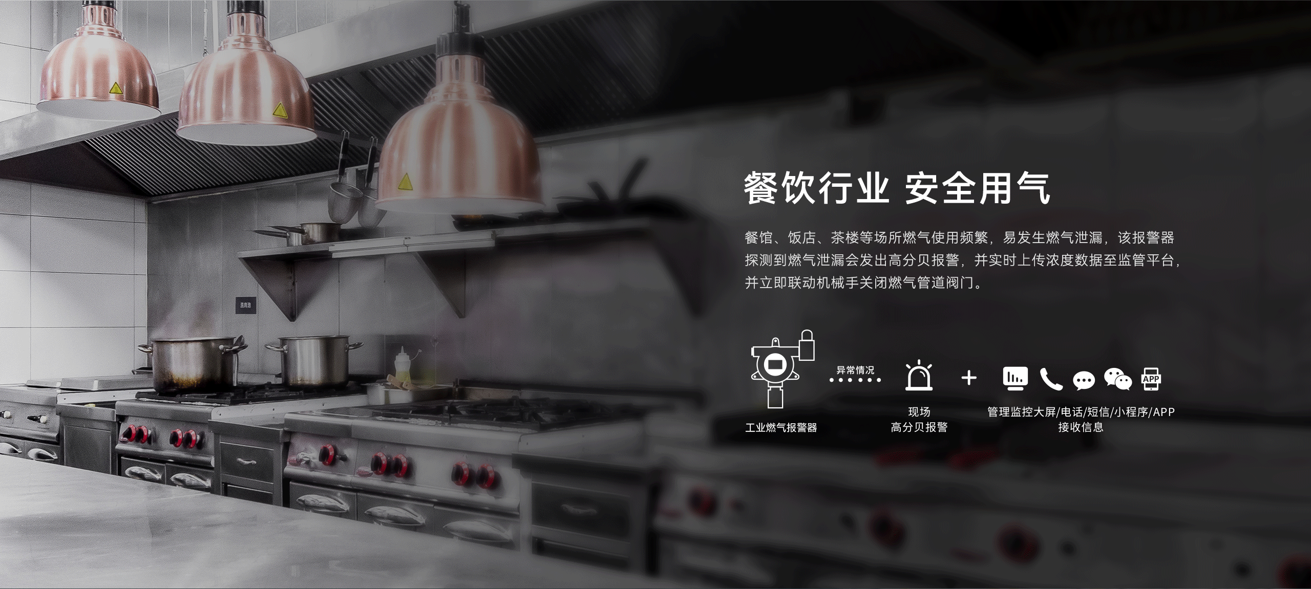 工業(yè)型可燃?xì)怏w探測(cè)器-GYT-HF-911NB詳情頁-2560P_03.gif