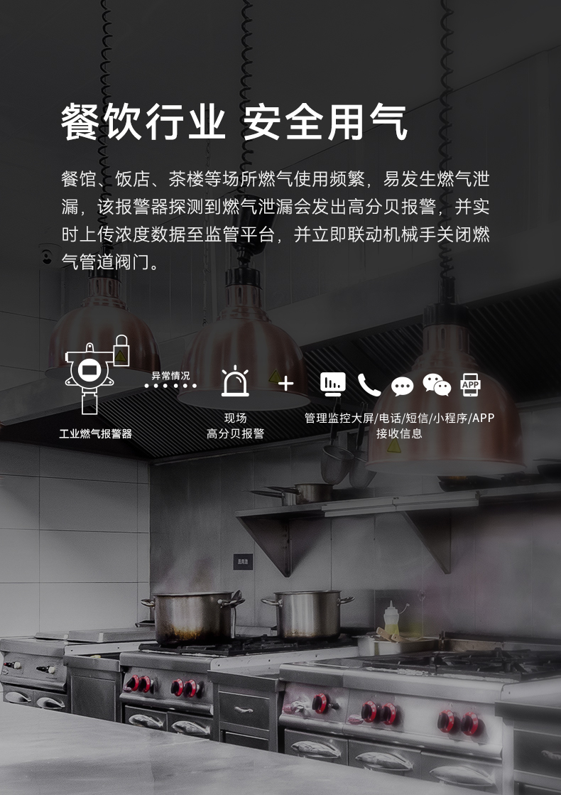 工業(yè)型可燃?xì)怏w探測(cè)器-GYT-HF-911NB詳情頁-790P_03.jpg