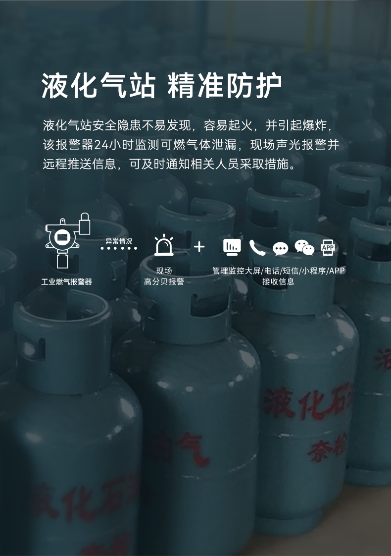 工業(yè)型可燃?xì)怏w探測(cè)器-GYT-HF-911NB詳情頁-790P_04.jpg